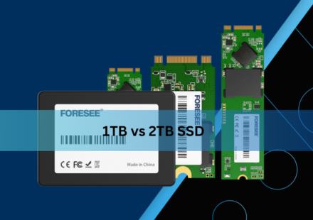 1TB vs 2TB SSD