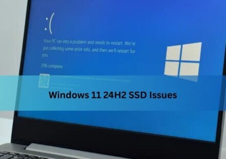 Windows 11 24H2 SSD Issues