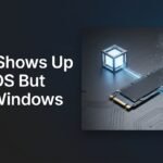 SSD Shows Up in BIOS But Not Windows